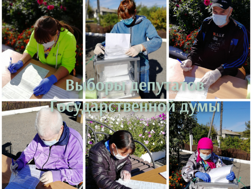 Более 50% специалистов сферы социальной защиты уже проголосовали на выборах депутатов Госдумы